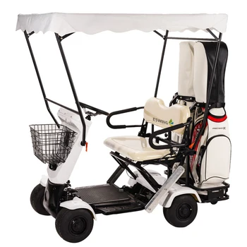 Oriental Shimao Качеството на количката с една литиева батерия, 2-местен голф-кар, моля, кола, количка за голф, най-бързият електрически автомобил
